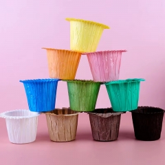 Muti color coated paper cupcake cups